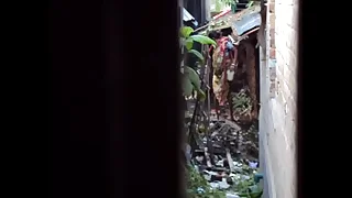 Desi Recalled and Piss3&period;AVI